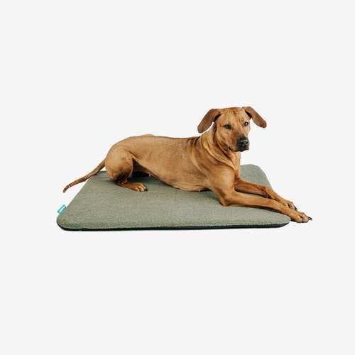 Hundeauslaufgebiet-Manuly GmbH-Bild