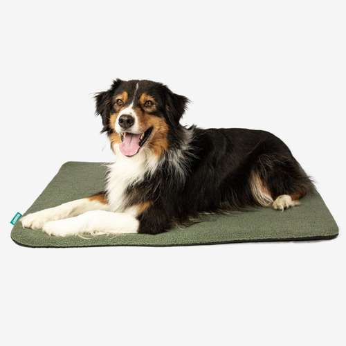Hundeauslaufgebiet-Manuly GmbH-Bild