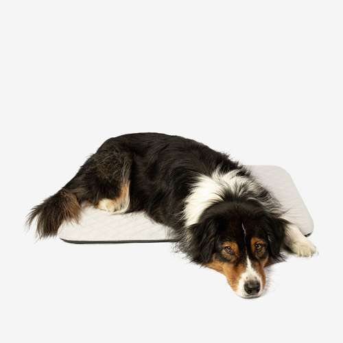 Hundeauslaufgebiet-Manuly GmbH-Bild