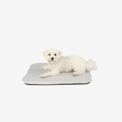 Hundeauslaufgebiet-Manuly GmbH-Bild