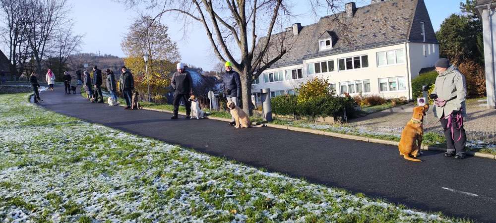 Hundeauslaufgebiet-MS.Dogtraining UG-Bild