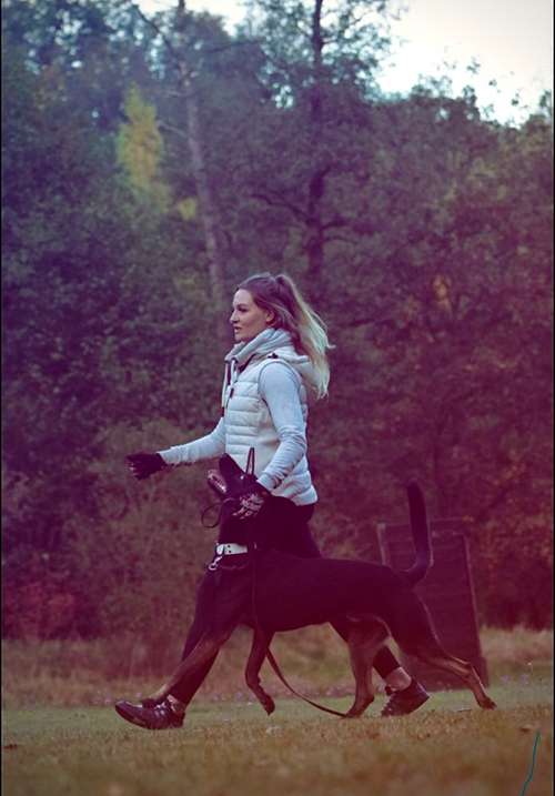 Hundeauslaufgebiet-MS.Dogtraining UG-Bild