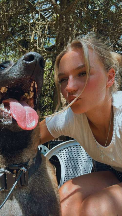 Hundeauslaufgebiet-MS.Dogtraining UG-Bild