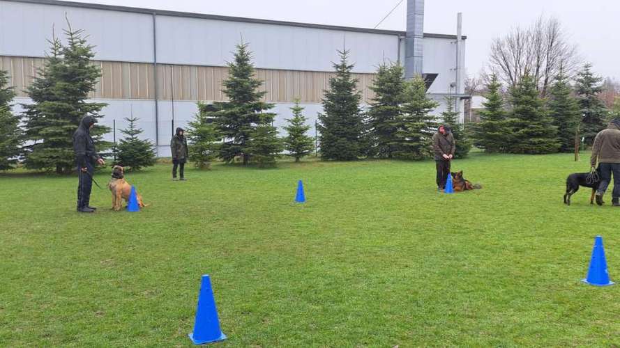 Hundeauslaufgebiet-Hundeschule Bello Fantastico-Bild