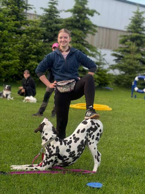 Hundeauslaufgebiet-Hundeschule Bello Fantastico-Bild