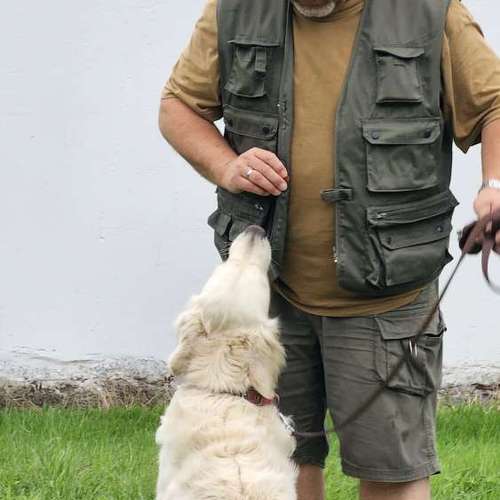 Hundeauslaufgebiet-Hundeschule NatureDogs-Bild