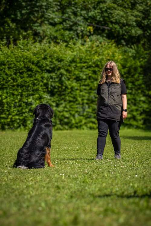 Hundeauslaufgebiet-traildogs-Bild