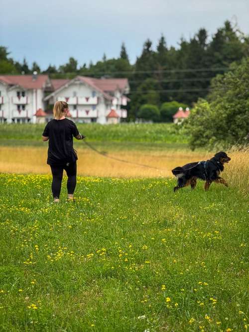 Hundeauslaufgebiet-traildogs-Bild