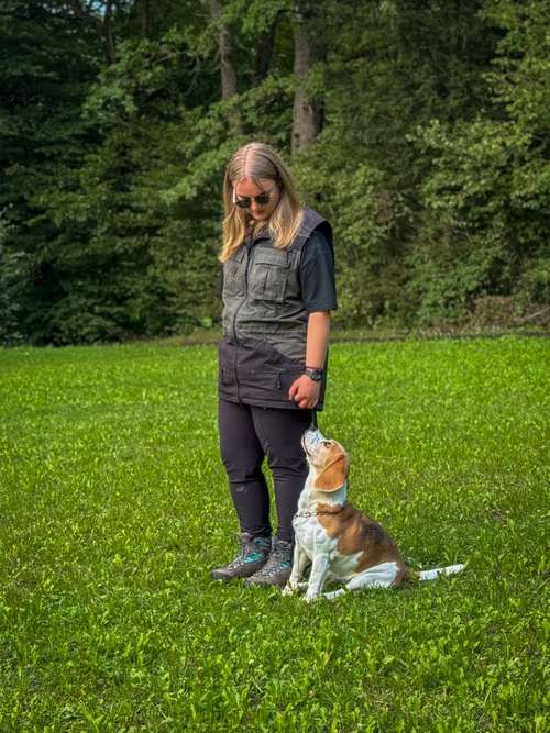 Hundeauslaufgebiet-traildogs-Bild