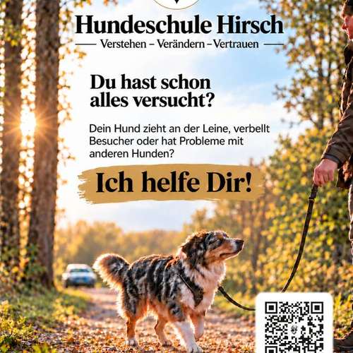 Hundeauslaufgebiet-Hundeschule Hirsch-Bild