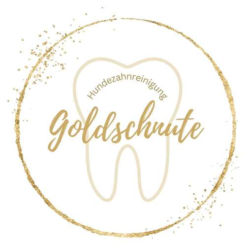 Hundeauslaufgebiet-Hundezahnreinigung GoldSchnute-Bild