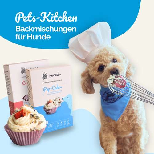 Hundeauslaufgebiet-Pets-Kitchen-Bild