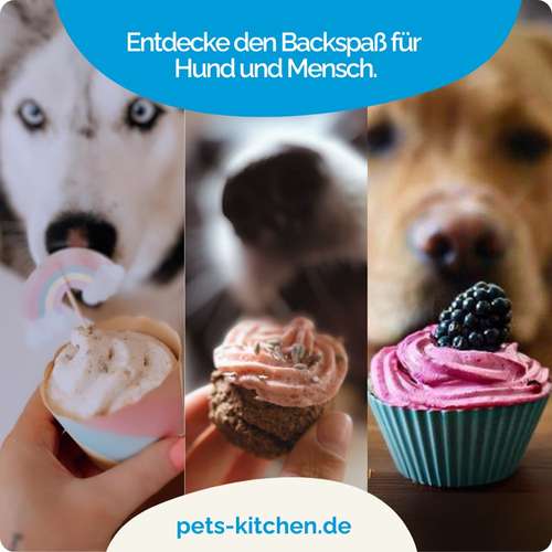 Hundeauslaufgebiet-Pets-Kitchen-Bild