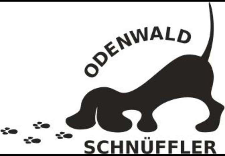 Hundeauslaufgebiet-Odenwald Schnüffler-Bild