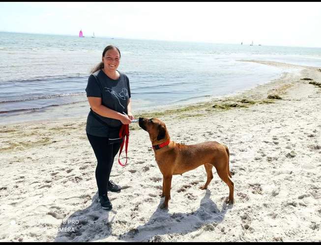 Hundeauslaufgebiet-Odenwald Schnüffler-Bild