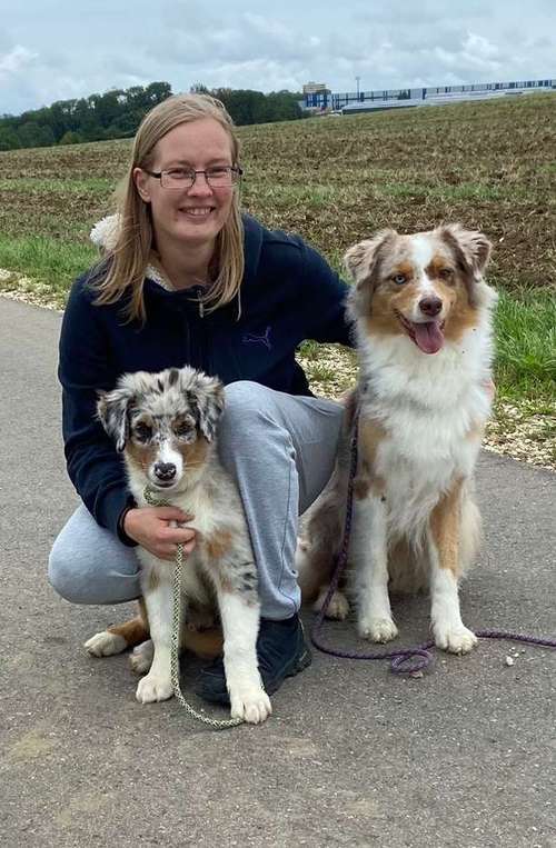 Hundeauslaufgebiet-Dogwalking Wiesenpfoten-Bild