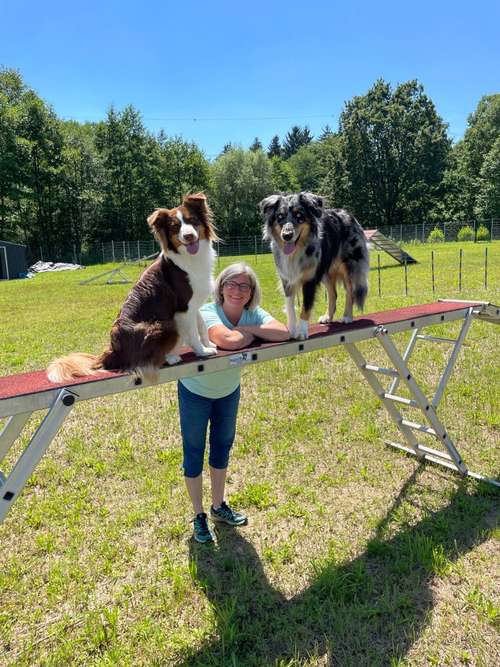 Hundeauslaufgebiet-Dogggos Monica Eidler-Bild
