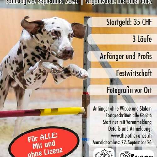 Hundeauslaufgebiet-Agility the Other Ones-Bild