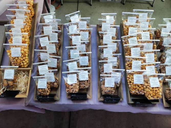 Hundeauslaufgebiet-xunde Hunde-Bild