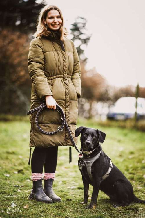 Hundeauslaufgebiet-Goldene Leine-Bild