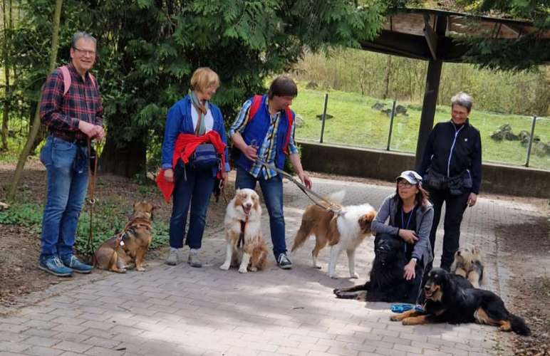 Hundeauslaufgebiet-1 mit dem Hund-Bild