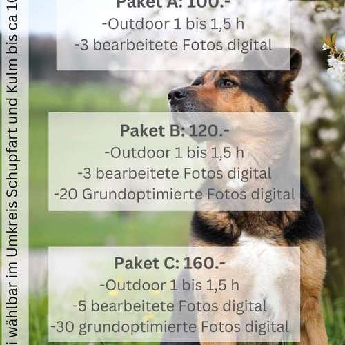 Hundeauslaufgebiet-FotoBino - Pfotografie-Bild
