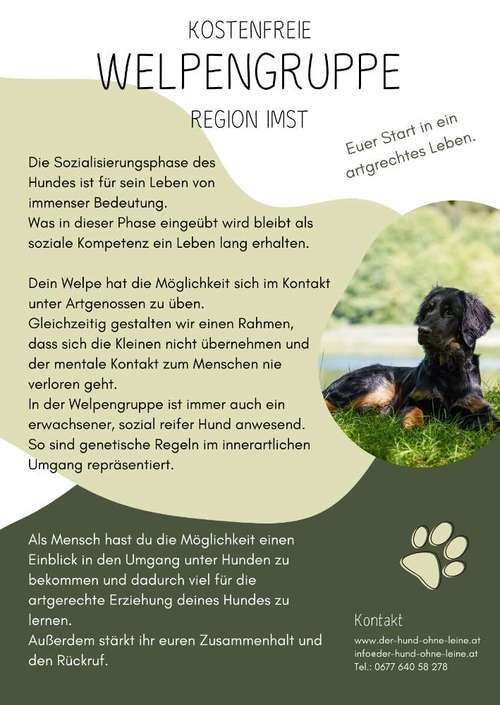 Hundeauslaufgebiet-Der Hund ohne Leine-Bild