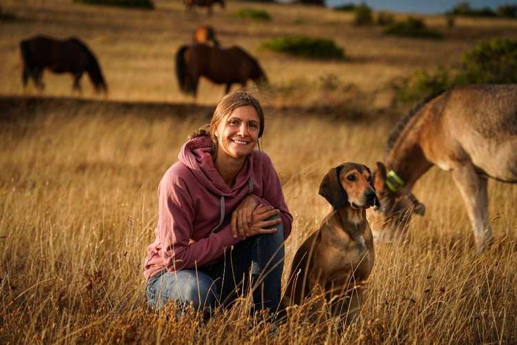 Hundeauslaufgebiet-Der Hund ohne Leine-Bild