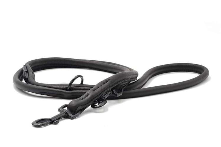 Hundeauslaufgebiet-HUNDum-Minden-Bild