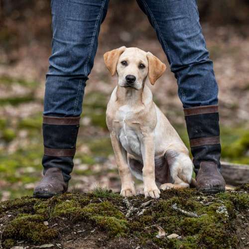 Hundeauslaufgebiet-WOELFINGER-FOTOS-Bild