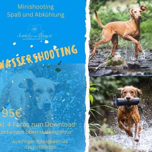 Hundeauslaufgebiet-WOELFINGER-FOTOS-Bild