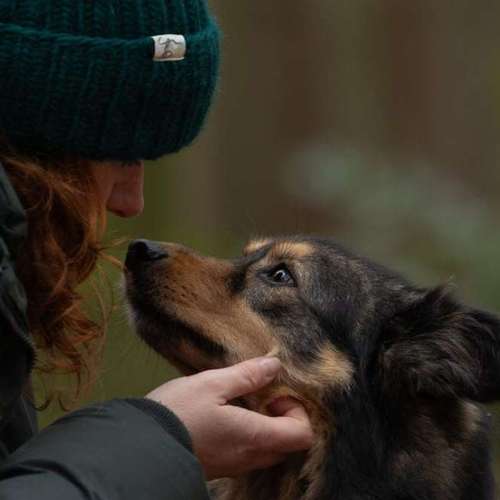 Hundeauslaufgebiet-MonikasFellnasenShooting-Bild