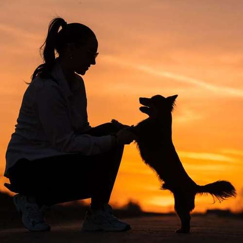 Hundeauslaufgebiet-MonikasFellnasenShooting-Bild