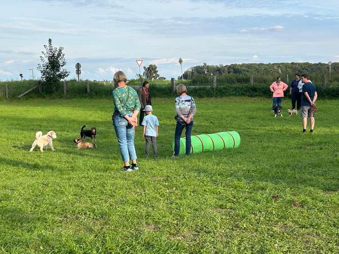 Hundeauslaufgebiet-pfoten-quatsch-koepfe & Hundefreilaufwiese-Bild