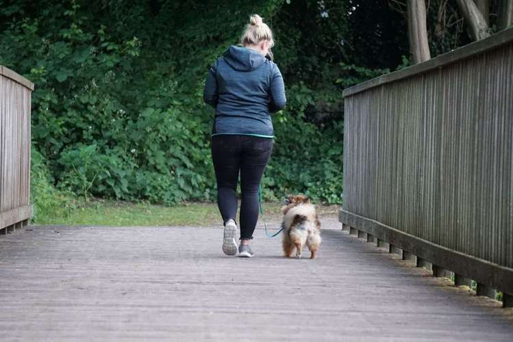 Hundeauslaufgebiet-Pfotenglück - Hundeschule & Gassi-Service-Bild