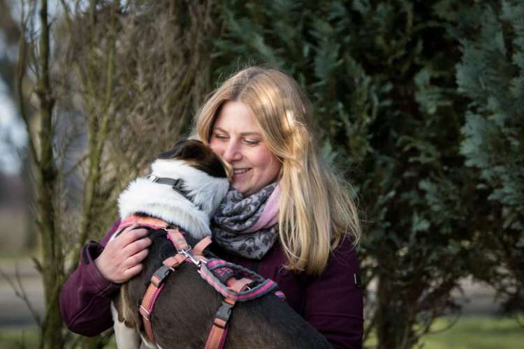 Hundeauslaufgebiet-Pfotenglück - Hundeschule & Gassi-Service-Bild