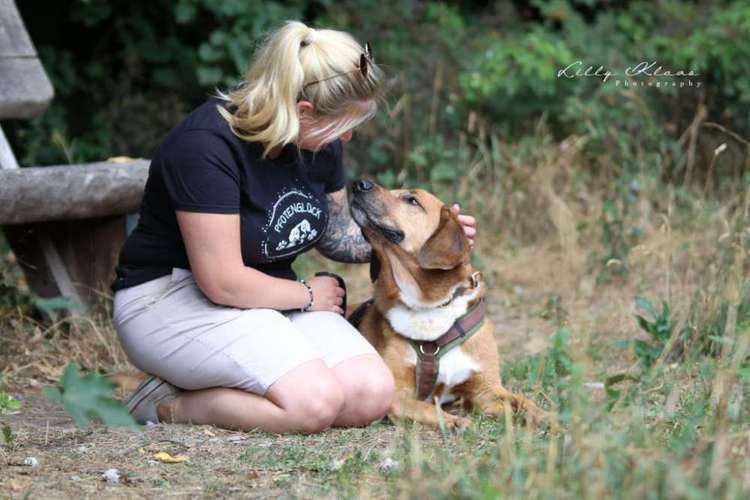 Hundeauslaufgebiet-Pfotenglück - Hundeschule & Gassi-Service-Bild