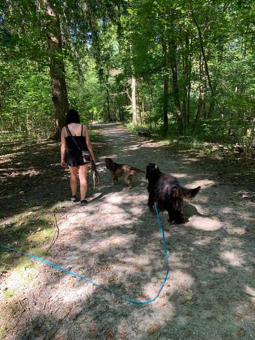 Hundeauslaufgebiet-Sophias Hunde Runde-Bild