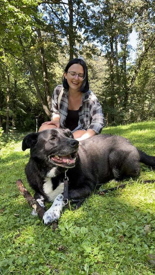 Hundeauslaufgebiet-Sophias Hunde Runde-Bild