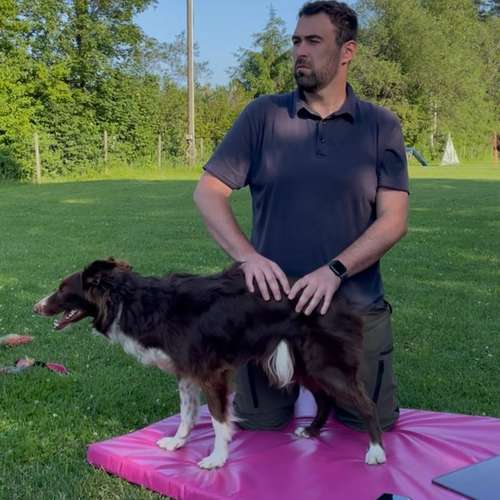 Hundeauslaufgebiet-Tiertherapie Oesterwind-Bild