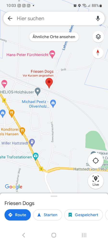 Hundeauslaufgebiet-Hundeschule Friesen Dogs-Bild
