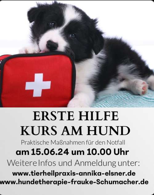 Hundeauslaufgebiet-Tierheilpraxis Annika Elsner-Bild