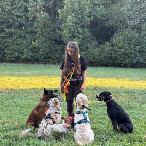 Hundeauslaufgebiet-hundeparadies.dog-Bild