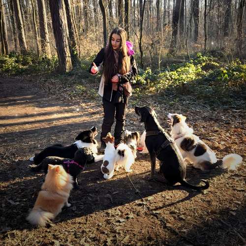 Hundeauslaufgebiet-hundeparadies.dog-Bild