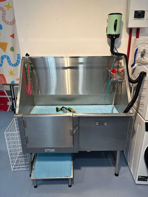 Hundeauslaufgebiet-Dogwash A-Go-Go-Bild