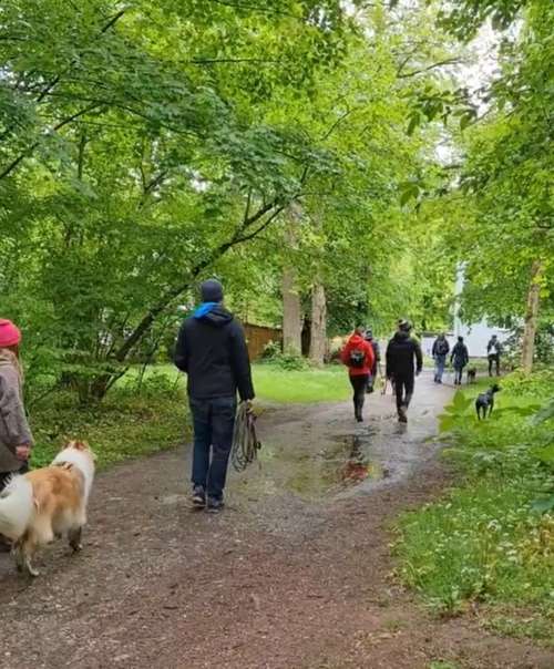 Hundeauslaufgebiet-Rabauken auf vier Pfoten - Hundeschule München-Bild