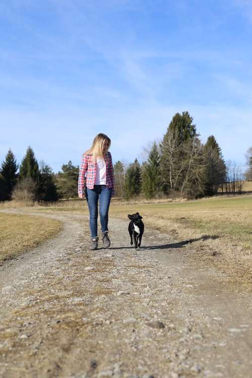 Hundeauslaufgebiet-Rabauken auf vier Pfoten - Hundeschule München-Bild