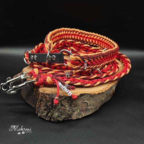 Hundeauslaufgebiet-Makrani Hundeshop-Bild