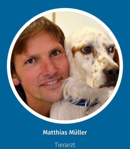 Hundeauslaufgebiet-Matthias Müller-Bild