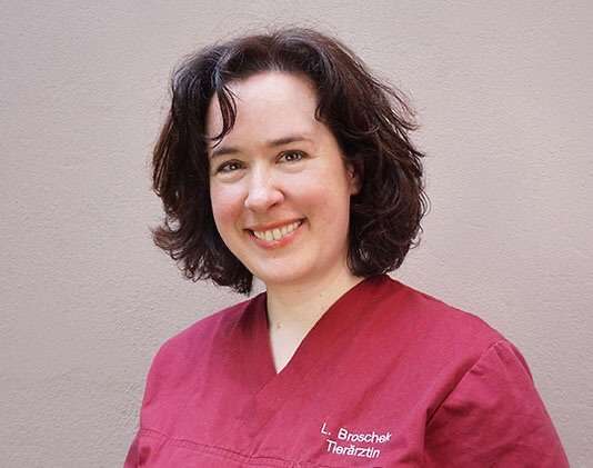 Hundeauslaufgebiet-Tierarztpraxis Am Westend-Bild